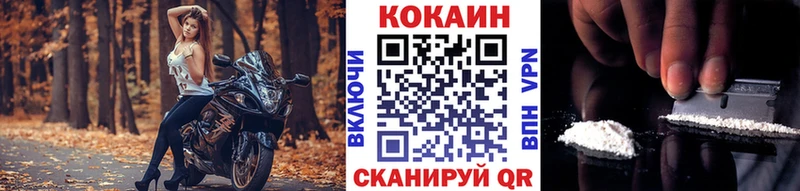 Купить закладки  Севск  Cocaine 98% 
