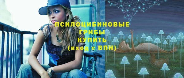 бутират Белокуриха