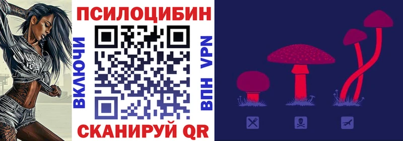 Псилоцибиновые грибы мицелий  Купить где  Севск 